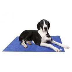 Scruffs Cooling Mat -Dierenwinkel 043f7d3c8877045b1ba4263deea4843ce999dec4e4d2fcaabbc5cb4b9e13912c 3