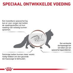 Royal Canin Fibre Response Kat -Dierenwinkel 0tMp9E3fvJRC05dRih0UwBDsli36jA metaR0FTVFJPSU5URVNUSU5BTC1GSUJSRS1SRVNQT05TRS0zLmpwZw