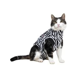 Medical Pet Shirt Kat Zebra -Dierenwinkel 12375e5007fecb342891a8522231587ac3dad9297d06c05a69bcea4e66a192dd 3