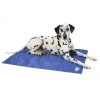 Scruffs Cooling Mat 1 Scruffs Cooling Mat -Dierenwinkel 2b36bdadeb409c4f4780489299c18d2c07e4914e5f147652d54f8fd4fa8ac4dd 2