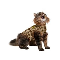 Medical Pet Shirt Kat Luipaard Print 13 Medical Pet Shirt Kat Luipaard Print -Dierenwinkel 399f40221187c4143940b56bf55175115a4cb4872acc40fedd18eb39078d4739 3