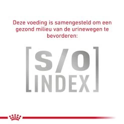 Royal Canin Fibre Response Kat -Dierenwinkel 3LFgwyqpm3Oi3IxfenULcOzRnKFgGj metaR0FTVFJPSU5URVNUSU5BTC1GSUJSRS1SRVNQT05TRS02LmpwZw