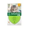 Advantage Kat -Dierenwinkel 9OUagG6zGQ7ddYYSyXvy6CT8ztJfY8 metaYWR2YW50YWdlX2thdF8xMDQwODlfMTUwMF9ub25lLmpwZw