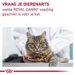 Royal Canin Fibre Response Kat -Dierenwinkel BmGR1tfIZkXKMEzmmxcudUqHexxJqZ metaR0FTVFJPSU5URVNUSU5BTC1GSUJSRS1SRVNQT05TRS0xMC5qcGc