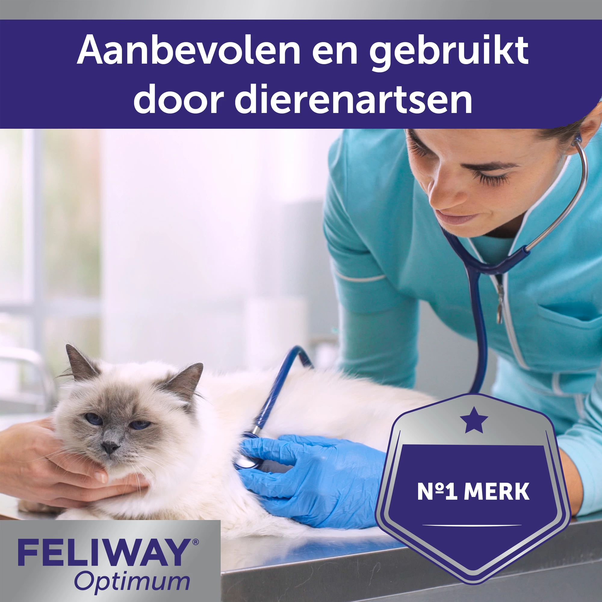Feliway Optimum 12 Feliway Optimum - Afbeelding 10