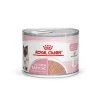 Royal Canin Mother & Babycat Mousse - Kattenvoer -Dierenwinkel JXiL2zfuKJNkBtEr45wk1EzdujJzEp metaUm95YWwtQ2FuaW4tTW90aGVyLSYtQmFieWNhdC1VbHRyYS1Tb2Z0LU1vdXNzZV8wMS5qcGc