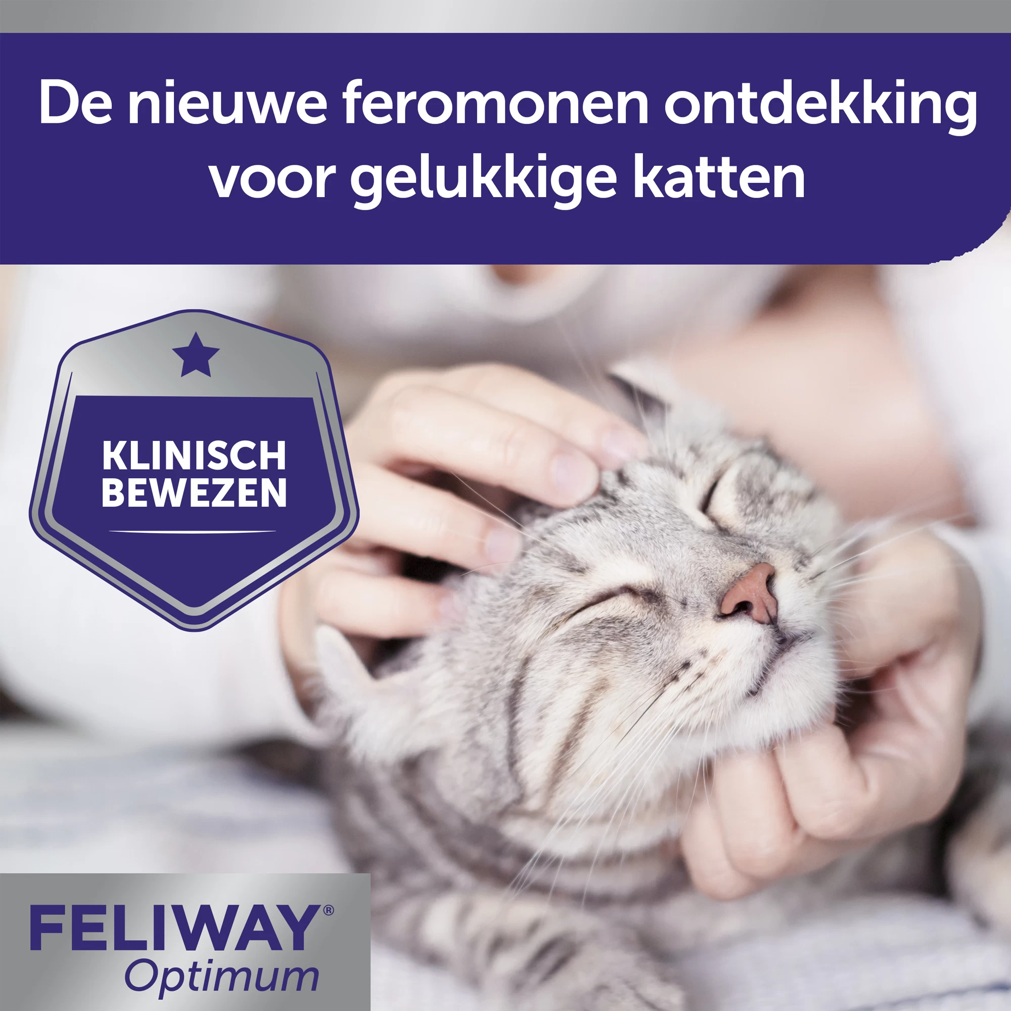 Feliway Optimum 10 Feliway Optimum - Afbeelding 8