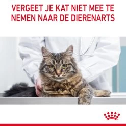Royal Canin Hair & Skin In Jelly - Kattenvoer -Dierenwinkel Za5qiWwLu5LlMRxA3ZdffyhTyYTngL metaUm95YWwtQ2FuaW4tVXJpbmFyeS1DYXJlLWluLUdyYXZ5XzA2LmpwZw