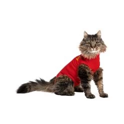 Medical Pet Shirt Kat -Dierenwinkel a7d59ef3b62a90fe31add2f43263632fe725d3e640755fcdcc4b6cc0a33acf33 3