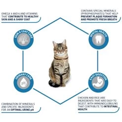 Affinity Advance Adult Kip En Rijst - Kat -Dierenwinkel affinity advance adult kip en rijst kat 178249 1500 none