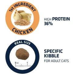 Affinity Advance Adult Kip En Rijst - Kat -Dierenwinkel affinity advance adult kip en rijst kat 178252 1500 none