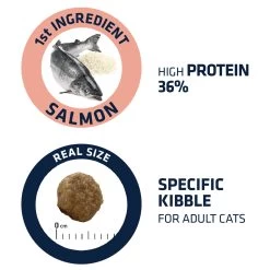 Affinity Advance Adult Salmon Sensitive - Kat -Dierenwinkel affinity advance adult salmon sensitive kat 178669 1500 none