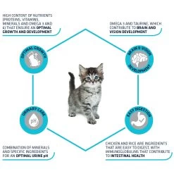 Affinity Advance Kitten Kip En Rijst 12 Affinity Advance Kitten Kip En Rijst -Dierenwinkel affinity advance kitten kip en rijst kat 178231 1500 none