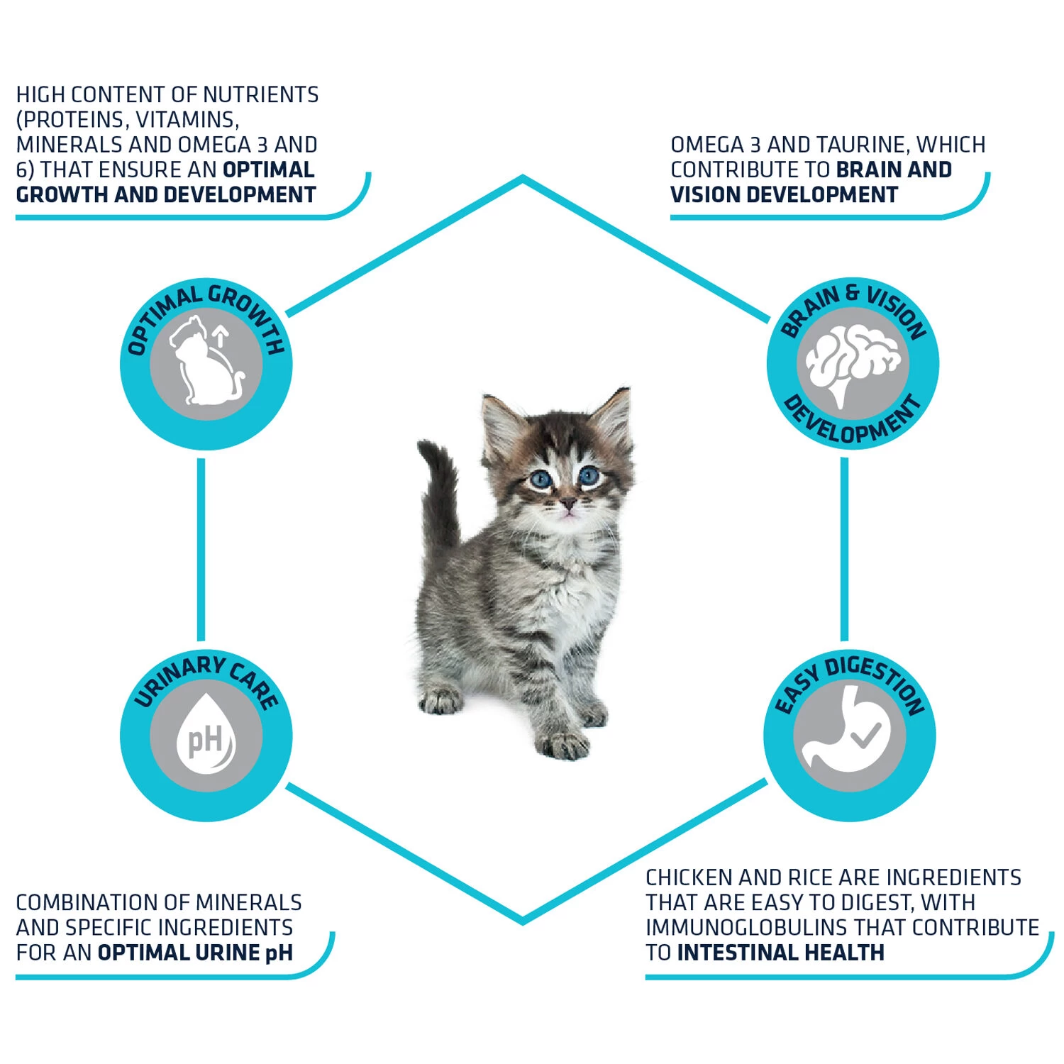 Affinity Advance Kitten Kip En Rijst 6 Affinity Advance Kitten Kip En Rijst - Afbeelding 4