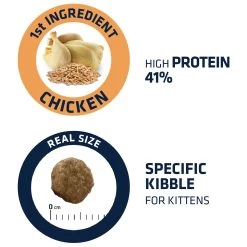 Affinity Advance Kitten Kip En Rijst 13 Affinity Advance Kitten Kip En Rijst -Dierenwinkel affinity advance kitten kip en rijst kat 178234 1500 none