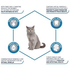 Affinity Advance Sterilized Kalkoen - Kat -Dierenwinkel affinity advance sterilized kalkoen kat 178201 1500 none