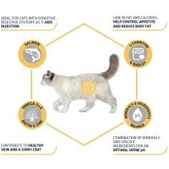 Affinity Advance Sterilized Salmon Sensitive - Kat -Dierenwinkel affinity advance sterilized salmon sensitive kat 178282 1500 none