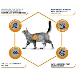 Affinity Advance Veterinary Diets Weight Balance Kat -Dierenwinkel affinity advance veterinary diets weight balance kat 178093 1500 none