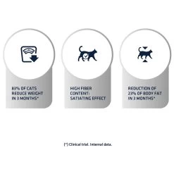 Affinity Advance Veterinary Diets Weight Balance Kat -Dierenwinkel affinity advance veterinary diets weight balance kat 178096 1500 none