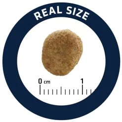 Affinity Advance Veterinary Diets Weight Balance Kat -Dierenwinkel affinity advance veterinary diets weight balance kat 178099 0500 none