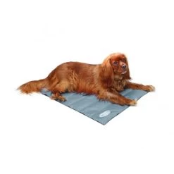 Scruffs Cooling Mat -Dierenwinkel bceca7ec87761528fb71b6c6fe588e9227233066c67512090048d172804a696d 3