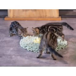 Beeztees Kitten Snuffelmat Flowie -Dierenwinkel beeztees kitten snuffelmat flowie 216526 2000 none