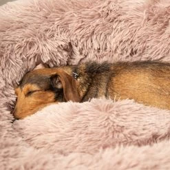 Beeztees Yali Pluche Donutmand -Dierenwinkel beeztees yali pluche donutmand 216351 1000 none