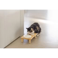 Designed By Lotte Dinnerset Djeha -Dierenwinkel designed by lotte dinnerset djeha 222734 2000 none