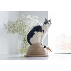 Designed By Lotte Halve Krabbol Vivi 9 Designed By Lotte Halve Krabbol Vivi -Dierenwinkel designed by lotte halve krabbol vivi 221562 1500 none