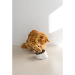 Designed By Lotte Kattenvoerbak Vita -Dierenwinkel designed by lotte kattenvoerbak vita 221521 1500 none