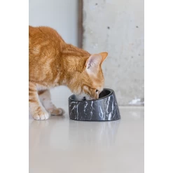 Designed By Lotte Kattenvoerbak Vita -Dierenwinkel designed by lotte kattenvoerbak vita 221522 1500 none