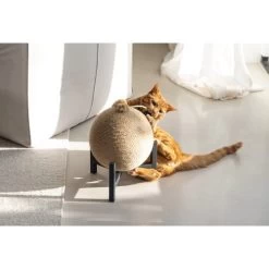 Designed By Lotte Krabbol Tyra -Dierenwinkel designed by lotte krabbol tyra 222832 0500 none