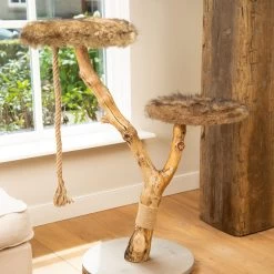 Designed By Lotte Krabmeubel Elora -Dierenwinkel designed by lotte krabmeubel elora 170014 2000 none