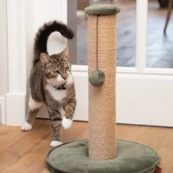 Designed By Lotte Krabpaal Yenna -Dierenwinkel designed by lotte krabpaal yenna 164437 2000 none