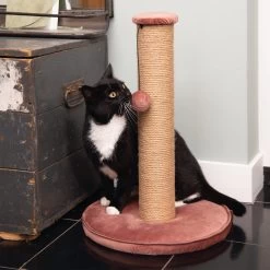 Designed By Lotte Krabpaal Yenna -Dierenwinkel designed by lotte krabpaal yenna 164443 2000 none