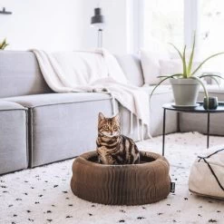 District 70 Maze -Dierenwinkel district 70 maze 190927 0500 none