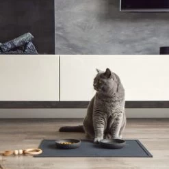 District 70 Serve Placemat 27 District 70 Serve Placemat -Dierenwinkel district 70 serve placemat 190909 0500 none