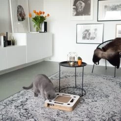 District 70 Spy -Dierenwinkel district 70 spy 133861 0500 none