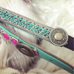 DWAM Kattenhalsband Tommy -Dierenwinkel dwam kattenhalsband tommy 166396 1000 none