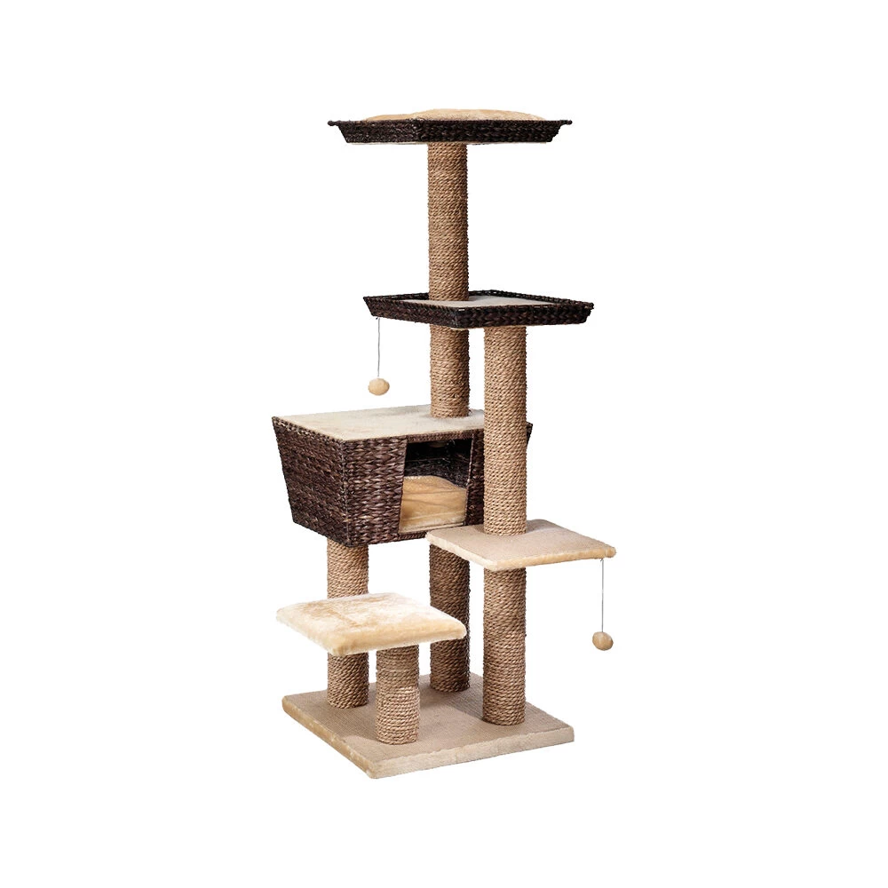 Ebi Krabpaal Trend Tree Curaçao 4 Ebi Krabpaal Trend Tree Curaçao - Afbeelding 2