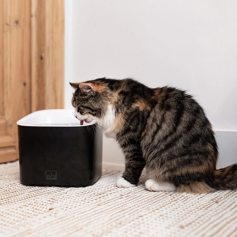 Ebi Manoa Drinkfontein 9 Ebi Manoa Drinkfontein - Afbeelding 7