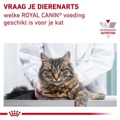 Royal Canin Urinary S/O Kat -Dierenwinkel eogY4Y9VYmtQMb0RC7upcWhheC1Gn4 metaVVJJTkFSWS1TTy1MT0FGLTcuanBn