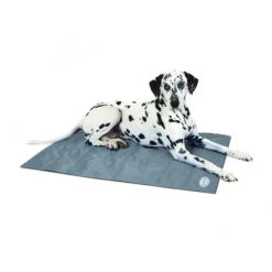 Scruffs Cooling Mat -Dierenwinkel f3ac318b6e6e6b42855db51248e05504fdcc915c79eeb971b91c906bcbc3b6b4 5