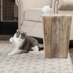 Frolicat Dancing Dot -Dierenwinkel frolicat dancing dot 184735 1000 none