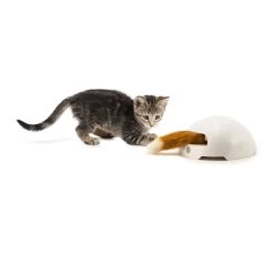 FroliCat Fox -Dierenwinkel frolicat fox 136600 2000 none