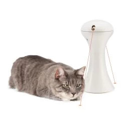 FroliCat Multi-Laser 11 FroliCat Multi-Laser -Dierenwinkel frolicat multi laser 136612 2000 none
