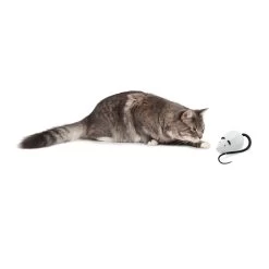 FroliCat RoloRat -Dierenwinkel frolicat rolorat 136588 2000 none