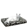 HD Catbed -Dierenwinkel gFqR3L8w06vkelmZQwszPaJ27h61d0 metacHJvZHVjdF9oZF9jYXRiZWRfbWVkcGV0c180XzE0MjExNDcyNTdfOTMxOC5qcGc