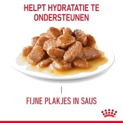 Royal Canin Hair & Skin In Gravy - Kattenvoer -Dierenwinkel gNIFd25uUwdzBKTBacJfwv3lua6JFc metaUm95YWwtQ2FuaW4tSGFpci0mLVNraW4taW4tR3JhdnlfMDIuanBn