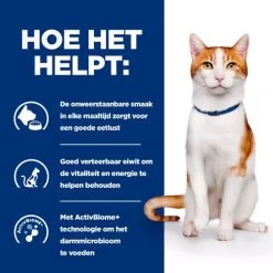 Hill's ON-Care - Prescription Diet - Feline -Dierenwinkel hills on care prescription diet feline 224079 0500 none